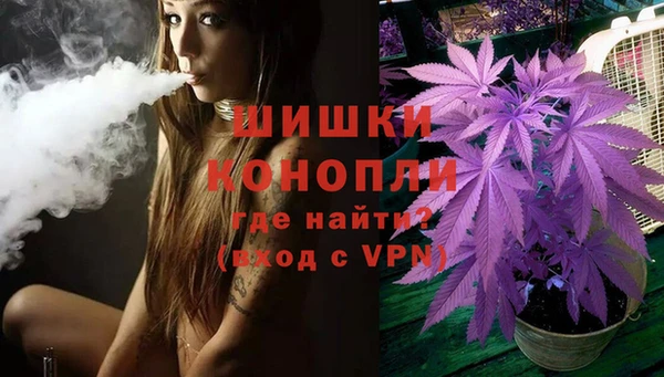 дурь Ладушкин