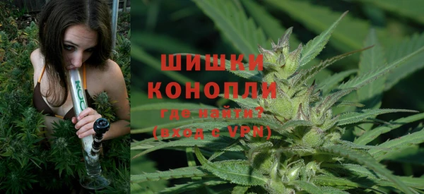 дурь Ладушкин