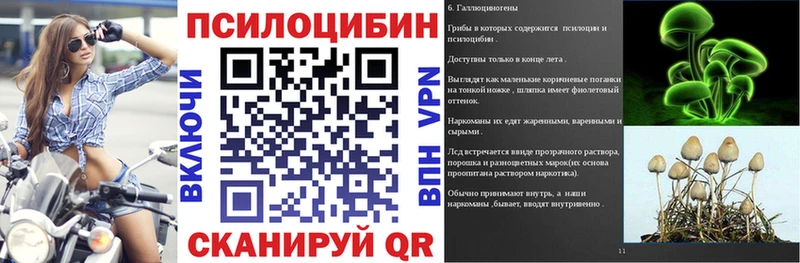 Псилоцибиновые грибы прущие грибы  магазин  наркотиков  Ясный 